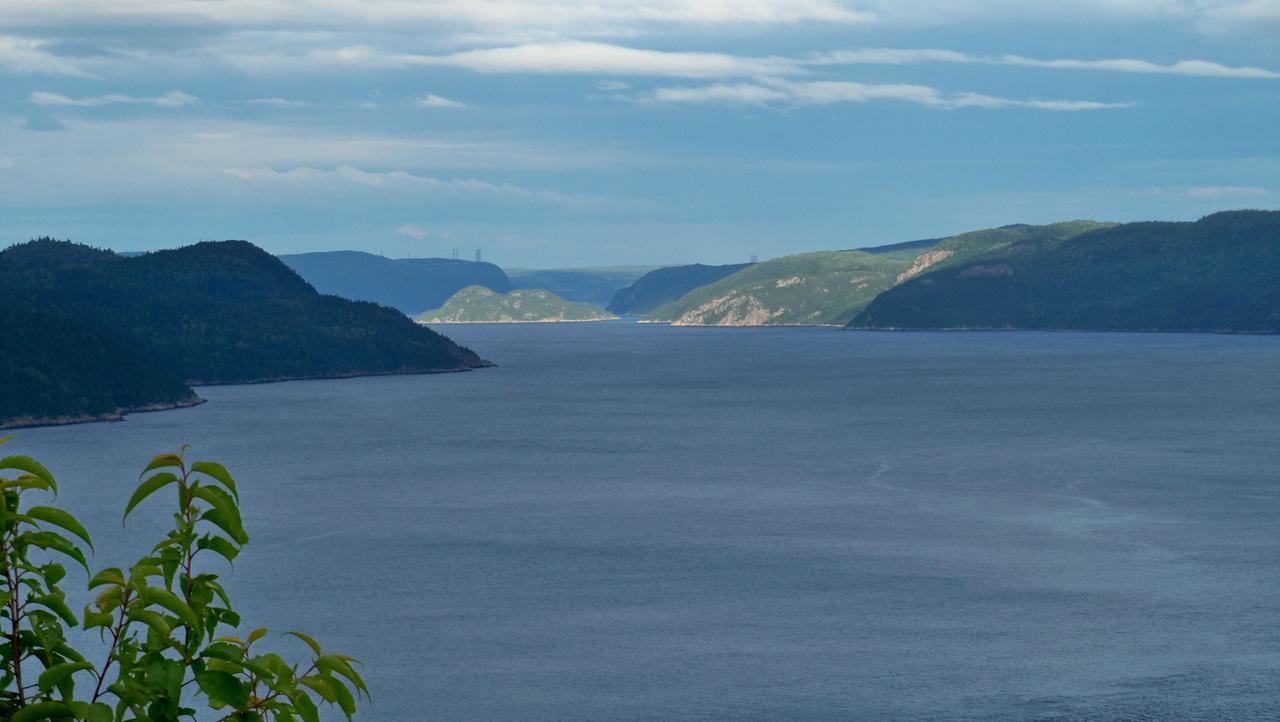 Gite Marie-Claire Petit-Saguenay Exterior photo